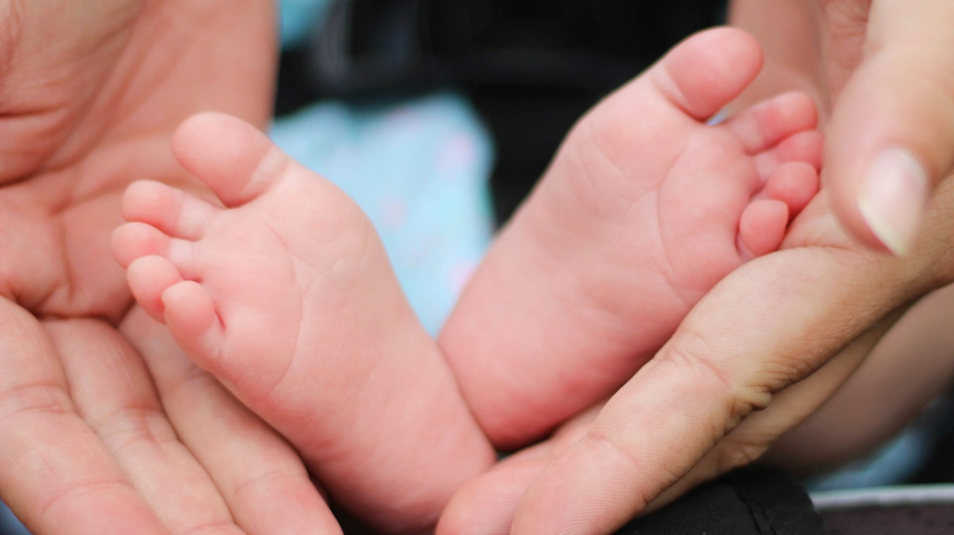 http://www.naturalfertilityclinic.net.au/wp-content/uploads/2017/05/cropped-StockSnap_CX86NMD6C1.jpg, natural fertility, naturalfertilityclinic, fertility clinic, natural, fertility, ivf, miscarriage